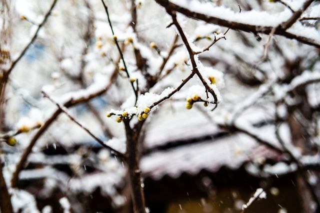 节目中 节目中